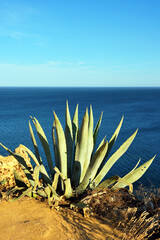 Ponta da Piedade, geological landscape route Lagos Algarve Portugal