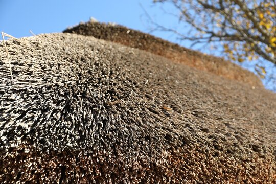House with thatched roof in outdoor museum of traditional architecture, closeup