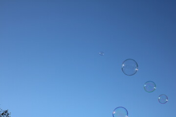 Soap Bubbles Floating in a Clear Blue Sky