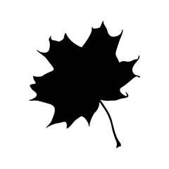 Black silhouette illustration of maple leaf, handmade, for applications and websites, prints
