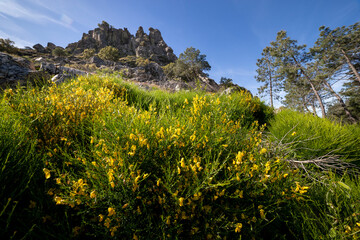 Peña Muñana tras los piornos