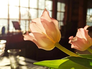 Naklejka premium tulipan