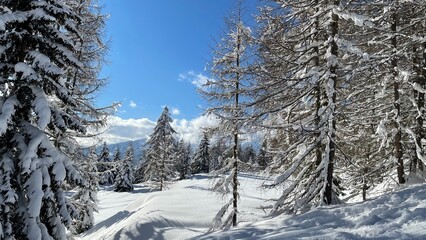 Winter auf der Alm
