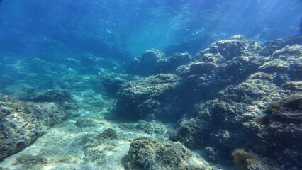 Shallow reef next to the shore