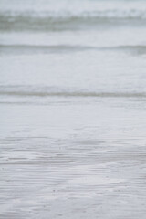 The image is of a beach with a gray and white color scheme. The water is calm and the sand is wet