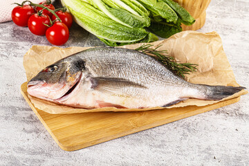 Raw dorada fish served rosemary