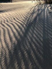 Wind-Swept Sand Ripples with Shadows at Sunset