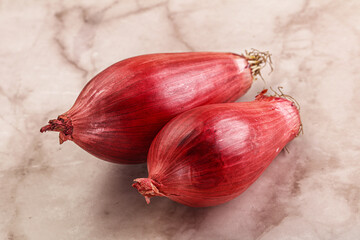 Violet raw onion for cooking