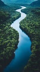 Aerial view of a winding river through lush green rainforest.