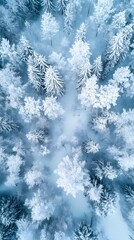 Aerial view of a snow-covered forest in winter, showcasing frosty trees and serene beauty.