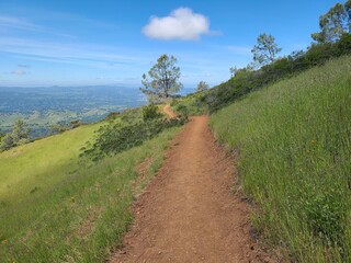 Juniper trail at Mt Diablo State Park in the spring, California