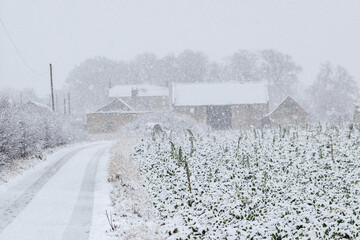 snow covered house in winter snow storm