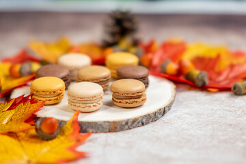 macarons on a plate