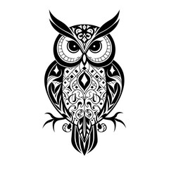 Fototapeta premium Detailed Owl with Geometric Patterns Coloring Art