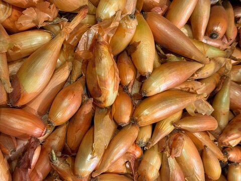 Banana shallots onion echalion bulbs 