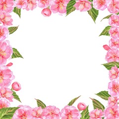 Square frame with pink Sakura blossoms and green leaves. Hanami postcard. Clipart. Hand-drawn watercolor illustration