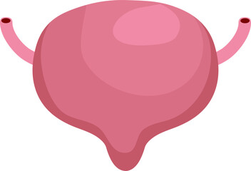 Bladder disease illustration. Urinary tract infection. Bladder cancer. Bladder stones. Bladder inconvenience.