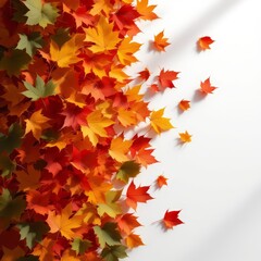 Fototapeta premium Autumn leaves, a white backdrop, a piled silhouette.