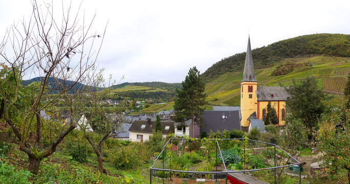 Aerial view of scenic Senheim village in the middle of Moselle river valley in Germany.