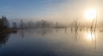 Nebelstimmung mit Spiegelung am See