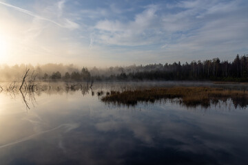 Nebelstimmung mit Spiegelung am See