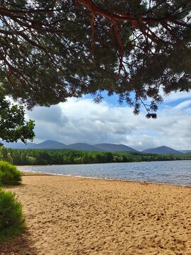 lake in the forest