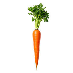 Fresh Carrot with Vibrant Green Leaves Isolated on Transparent Background
