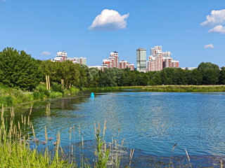 The green shores of the Moscow summer