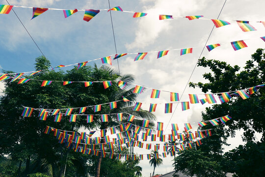 Vibrant rainbow flags decorate a sunny outdoor space, celebrating diversity and pride.