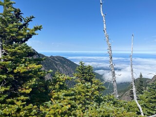 Obraz premium Washington Mountain Hike