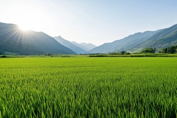 Obraz premium Lush green field framed by majestic mountains under clear blue sky in daylight