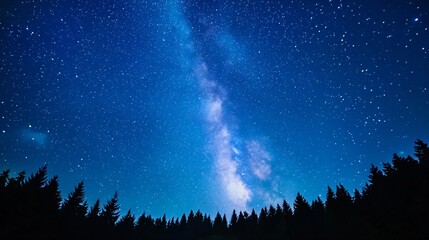 Fototapeta premium Stunning milky way galaxy over dark forest silhouette at night. Natural starry sky landscape with pine trees. Summer night astronomy view. Space background for banner with copy space