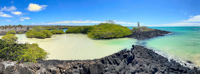 The hidden beauty of Playa el Garrapatero Beach on Santa Cruz Island on Galapagos Archipelago
