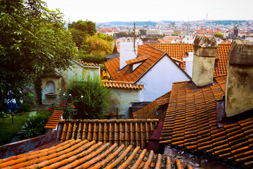 Obraz premium Charming Rooftop View of Old Town in Prague with Lush Greenery and Historic Architecture