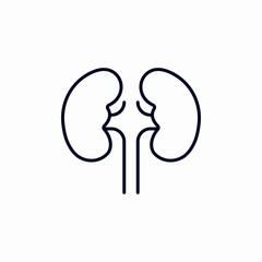 kidneys organ icon sign vector