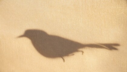 캔버스위에 올라가있는 작은 새의 그림자