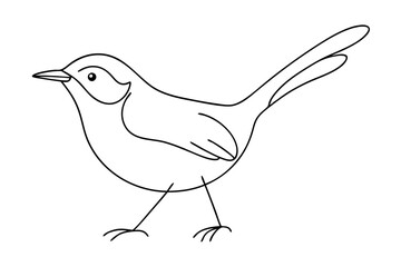 Elegant Line Drawing of a Wren Vector Illustration for Art and Design