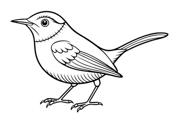 Elegant Line Drawing of a Wren Vector Illustration for Art and Design