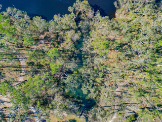 Charles Spring along the Suwannee