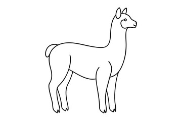Alpaca Line Drawing Elegant Line Art Vector Illustration