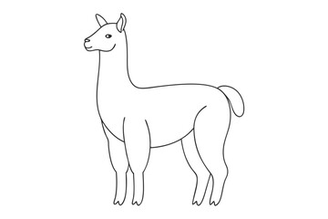 Alpaca Line Drawing Elegant Line Art Vector Illustration
