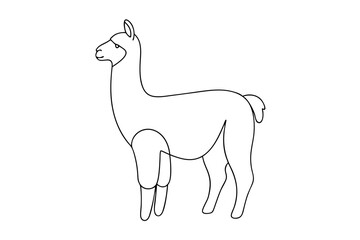Alpaca Line Drawing Elegant Line Art Vector Illustration
