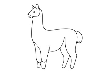Alpaca Line Drawing Elegant Line Art Vector Illustration