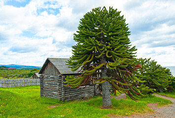 Fort Bulnes  near Punta Arenas, the first Chilean settlement on the Strait of Magellan. Bulnes was built in 1843  to protect Southern Chile and the Strait of Magellan from claims by other countries.  