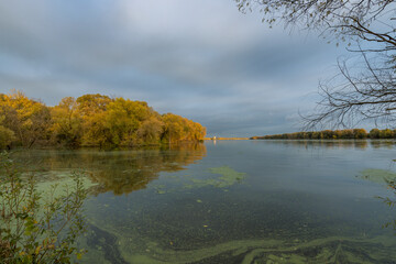 A lake with a lot of green algae floating on the surface