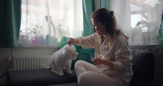 Woman sitting on couch petting white dog in cozy home setting, soft cushions and bright windows enhancing a warm and calm indoor atmosphere