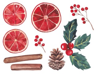 Christmas set with red dried orange, cinnamon, berries and cones. Hand-painted in watercolor