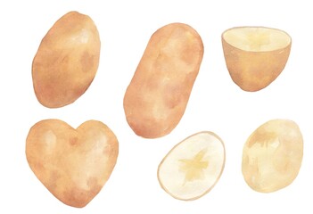 A set of watercolor illustrations of potatoes