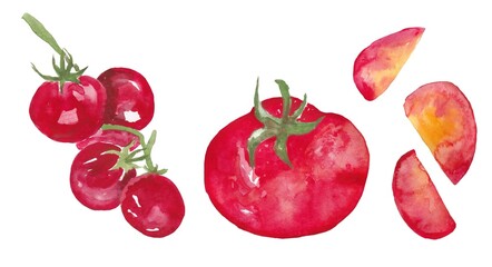 a set of red tomatoes, watercolor. drawings for the design of menus, restaurants, products