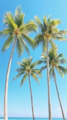 Palm trees sway gently against a bright blue sky on a sunny day in a tropical location